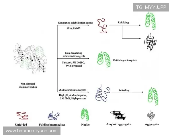 如何选择优质的AG体育游戏平台实现稳定盈利的实用策略与建议