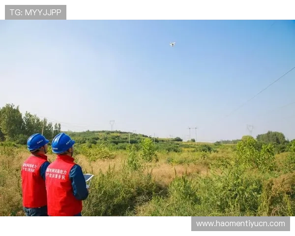 新宝体育技术保障体系:确保平台稳定运行与用户信息安全 新宝体育技术保障体系:确保平台稳定运行与用户信息安全