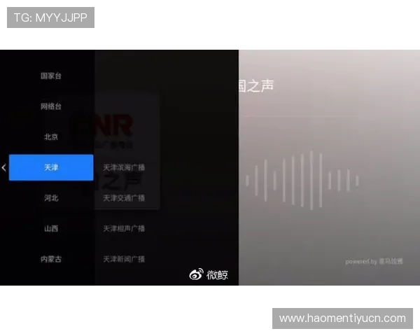 星空体育网址导航指南，快速找到你喜欢的体育赛事直播入口